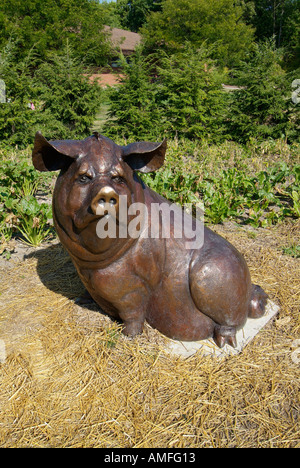 Pig Hog mascot at Dow Gardens Midland Michigan Stock Photo