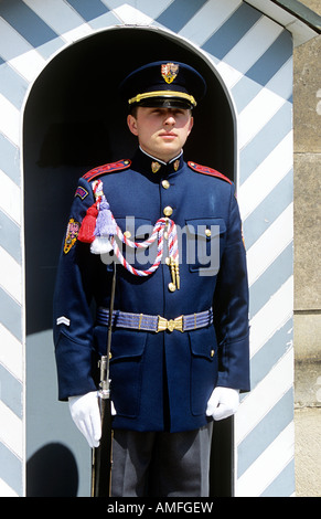 Soldier standing guard in sentry box, Prague Castle, Prazsky Hrad, Prague, Czech Republic Stock Photo