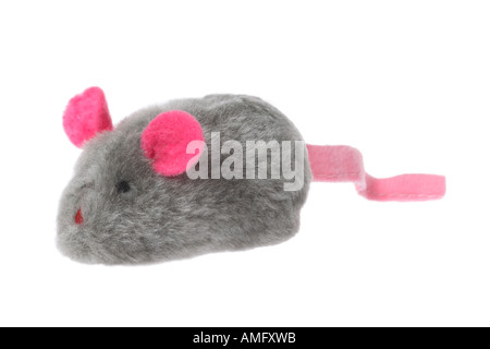 Cat Toy:  Stuffed Mouse Stock Photo