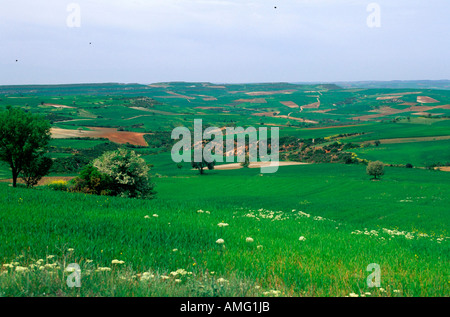 Griechenland, Chalkidiki, Landschaft bei Petralona Stock Photo