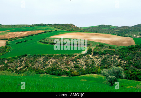 Griechenland, Chalkidiki, Landschaft bei Petralona Stock Photo