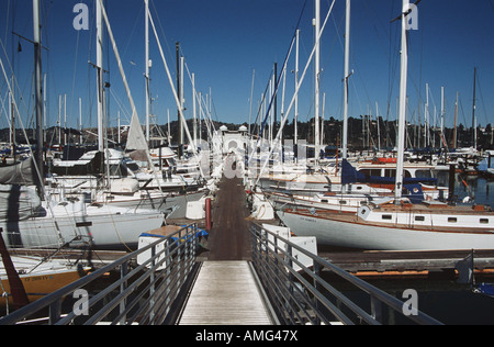 Yachts moored in marina, Sausalito, Marin County, California, USA Stock Photo