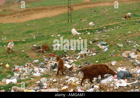 Türkei, Istanbul, Gecekondu Stock Photo