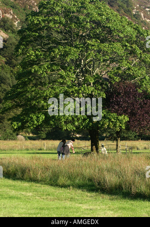 Family at Gelert's Grave, Beddgelert, Snowdonia, Gwynedd, North Wales, UK Stock Photo