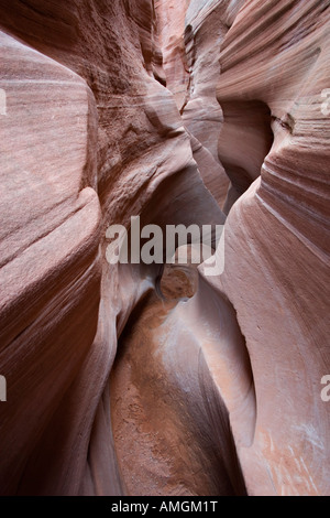 Sandstone narrows in Peek a Boo slot canyon near Escalante in Grand Staircase National Monument Utah USA Stock Photo