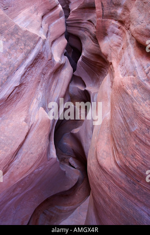 Sandstone narrows in Peek a Boo slot canyon near Escalante in Grand Staircase National Monument Utah USA Stock Photo