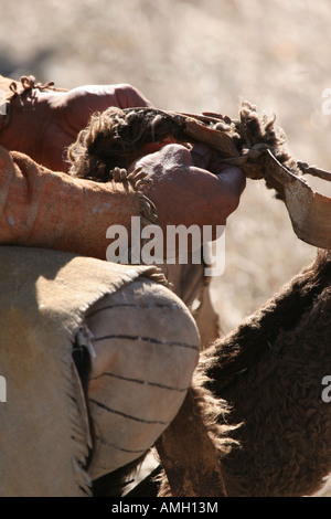 A Native American Indian man holding the buffalo leather fur straps of a bow and arrow carrier Stock Photo