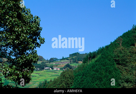 Japan, Shikoku, Kochi, auf der Susaki-Halbinsel Stock Photo