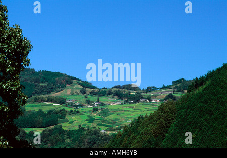 Japan, Shikoku, Kochi, auf der Susaki-Halbinsel Stock Photo