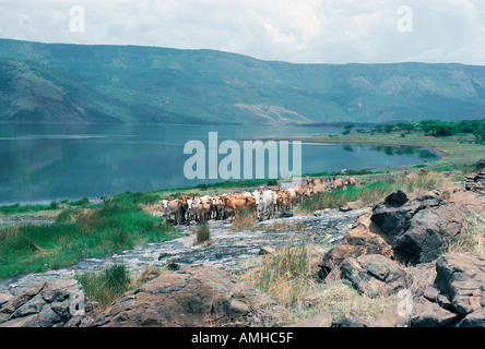 Lake Bogoria in the Great Rift Valley Kenya East Africa Stock Photo