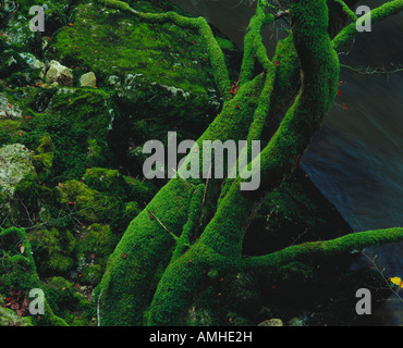 October 1999 Areuseschlucht Boudry NE Waterfall Stock Photo - Alamy