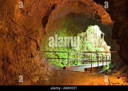 Nahuku-Thurston Lava Tube Hawaii Stock Photo - Alamy