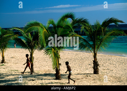 Kuba, Matanzas, Nationalpark Zapata, Playa Giron, Palmenstrand Stock Photo