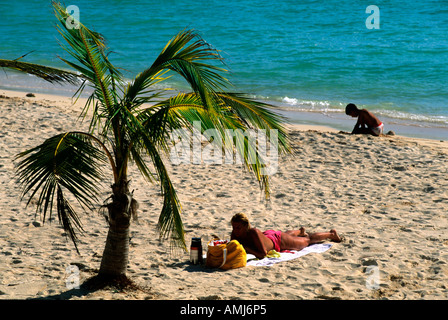 Kuba, Matanzas, Nationalpark Zapata, Playa Giron, Palmenstrand Stock Photo