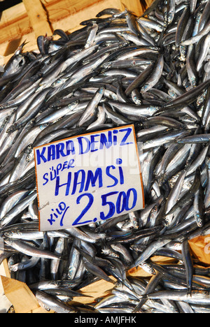 ISTANBUL. Fish for sale at the fish market (balikcisi) by the Galata Bridge at Karakoy in Beyoglu. Stock Photo