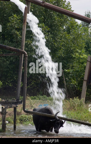 Yevlax AZERBAIJAN 2005 Stock Photo