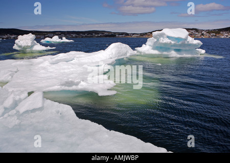 Pack Ice in the St Anthony Harbour, St Anthony, Northern Peninsula, Viking Trail, Newfoundland, Canada. Stock Photo
