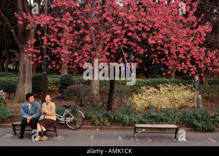 Tokyo Japan A young couple sitting under cherry blossom Ueno park Stock Photo