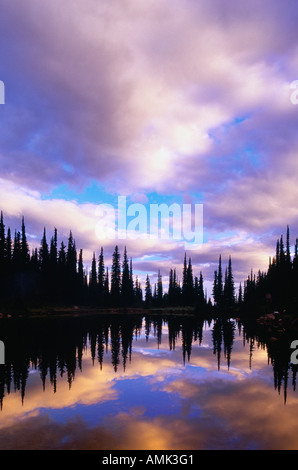 Balsam Lake, Mount Revelstoke National Park. Revelstoke, British ...