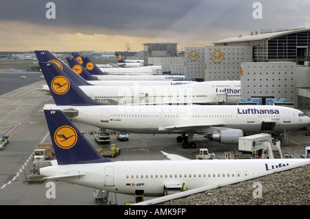 Lufthansa airplanes at the airport in Frankfurt on the Main, Germany Stock Photo