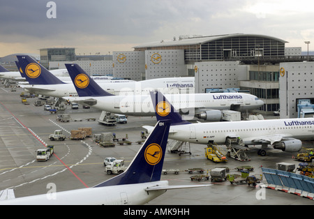 Lufthansa airplanes at the airport in Frankfurt on the Main, Germany Stock Photo