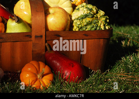 Vintage wooden fruit basket filled with autumn fruits and vegetables outdoors in sunlight Stock Photo