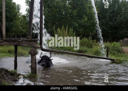 Yevlax AZERBAIJAN 2005 Stock Photo