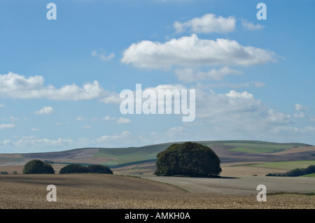 View southwest from overton hill on the ridgeway national trail near avebury Stock Photo