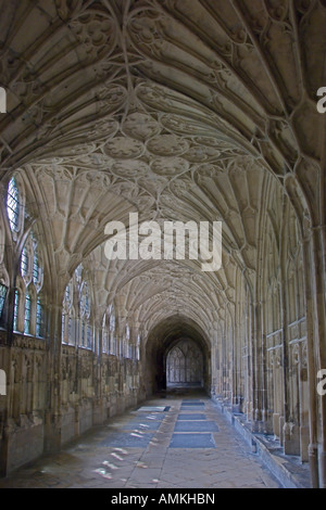 Cloisters Gloucester Cathedral Gloucestershire England July 2006 Stock Photo