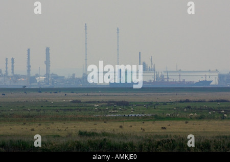 BP oil refinery Stock Photo - Alamy