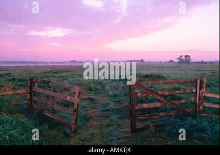 Open Gate and Field, Alberta, Canada Stock Photo