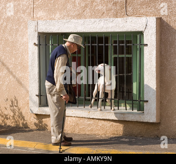 A passerby looks at an angry dog Stock Photo