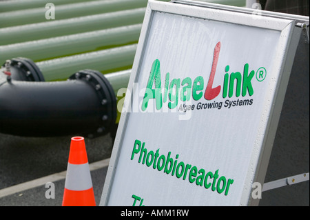 An AlgaeLink Algae growing system that is harvested to make ethanol and biodiesel Stock Photo