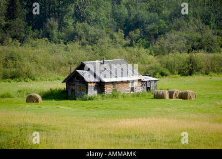 Farm Farmland along Highway 16 near Smithers British Columbia BC Canada barn weathered field crop hay harvest Stock Photo