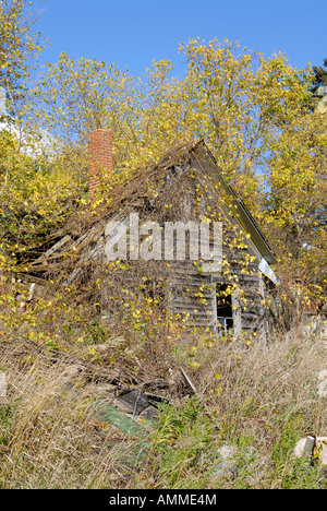 Dilapidated old farm house in a field during autumn time near Port Austin Michigan Stock Photo