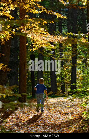 Small boy walking up path during fall colors at Mitchell State Park in Cadillac Michigan Stock Photo