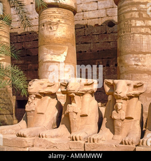 Ram-headed Sphinxes in the Precinct of Amun-Re (or Amum),  Karnak Temple complex near Luxor, Egypt Stock Photo