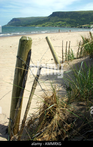 The beach at Glenariff on the Antrim Coast, Northern Ireland Stock Photo