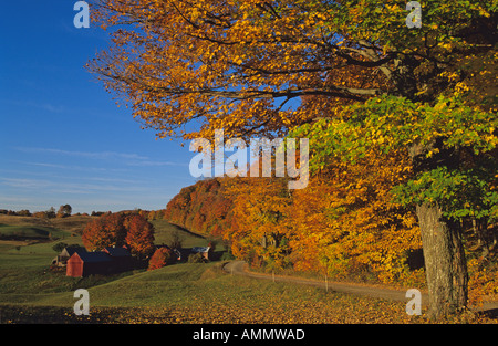 USA; Vermont; Green Mountains; Jenny Farm Stock Photo