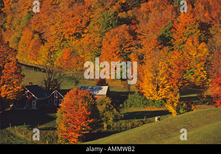 USA; Vermont; Green Mountains; Jenny Farm Stock Photo