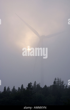 Windmill, Pubnico Point Wind Farm on a foggy evening in Lower West Pubnico, Pubnico Point, Acadian Region, Nova Scotia, Canada. Stock Photo