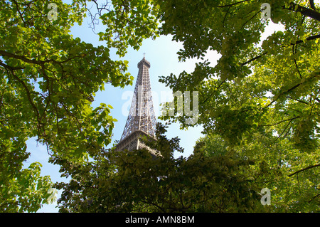 Paris France Eiffel Tower Through trees Stock Photo