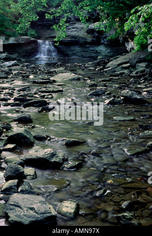 McCormick's Creek, McCormick's Creek State Park, Indiana USA Stock Photo