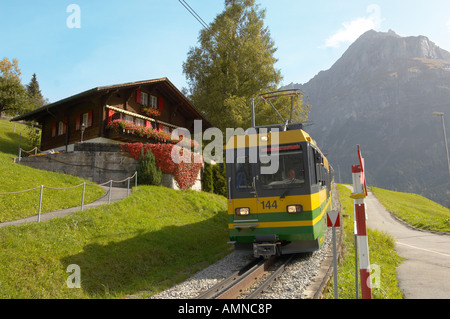 Swiss funicular railway train climbing through summer alpine pastures. Grindelwald. Bernese Swiss Alps. Switzerland Stock Photo