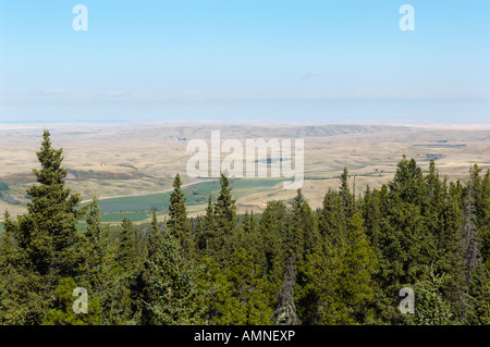 Overview of Landscape From Cypress Hills, Alberta, Canada Stock Photo