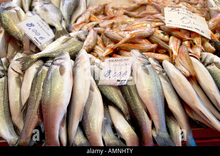 Fresh Sea Food Fish market - Bass Stock Photo