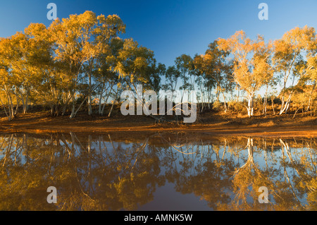 Billabong in West MacDonnel National Park, Northern Territory Australia Stock Photo