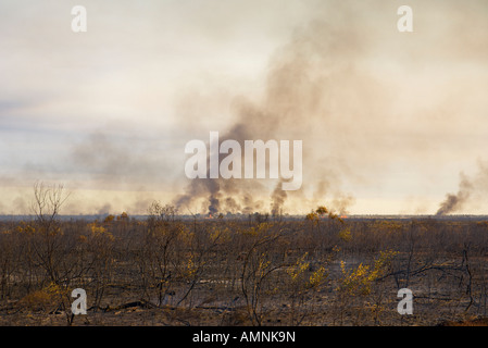 Bush Fire, Northern Territory, Australia Stock Photo