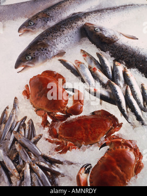 Fresh sea food on ice. Sardines Whole crab salmon. Stock Photo