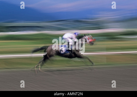 Horse Race Stock Photo